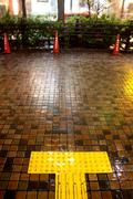 Shinjuku in the rain